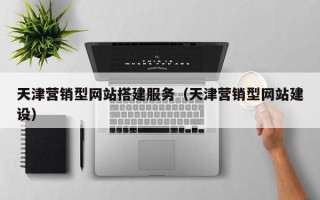 阿拉善盟天津营销型网站搭建服务（天津营销型网站建设）